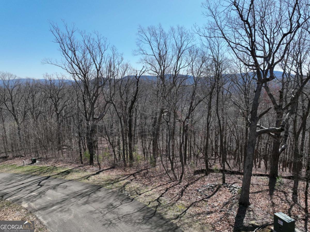 274 Andes Ridge Ellijay GA 30536
