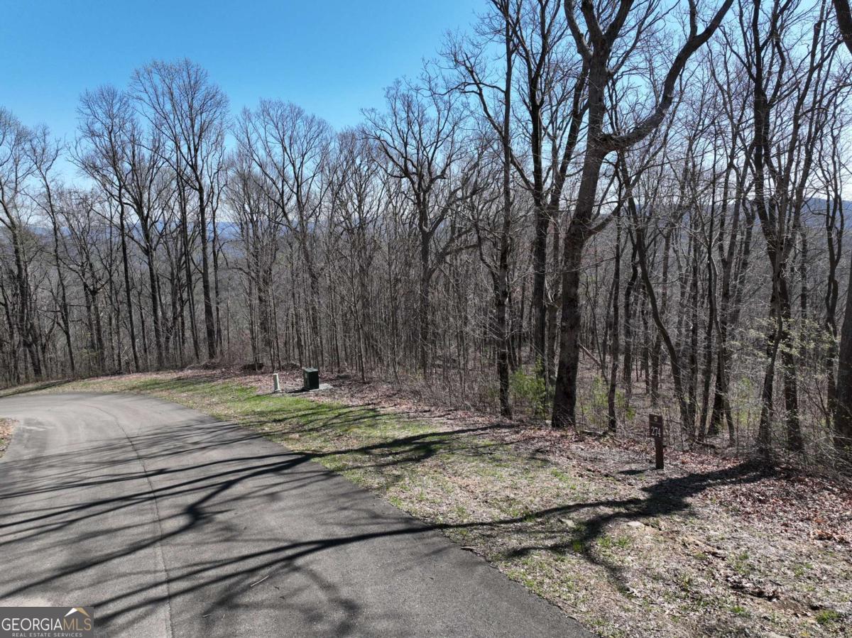 274 Andes Ridge Ellijay GA 30536