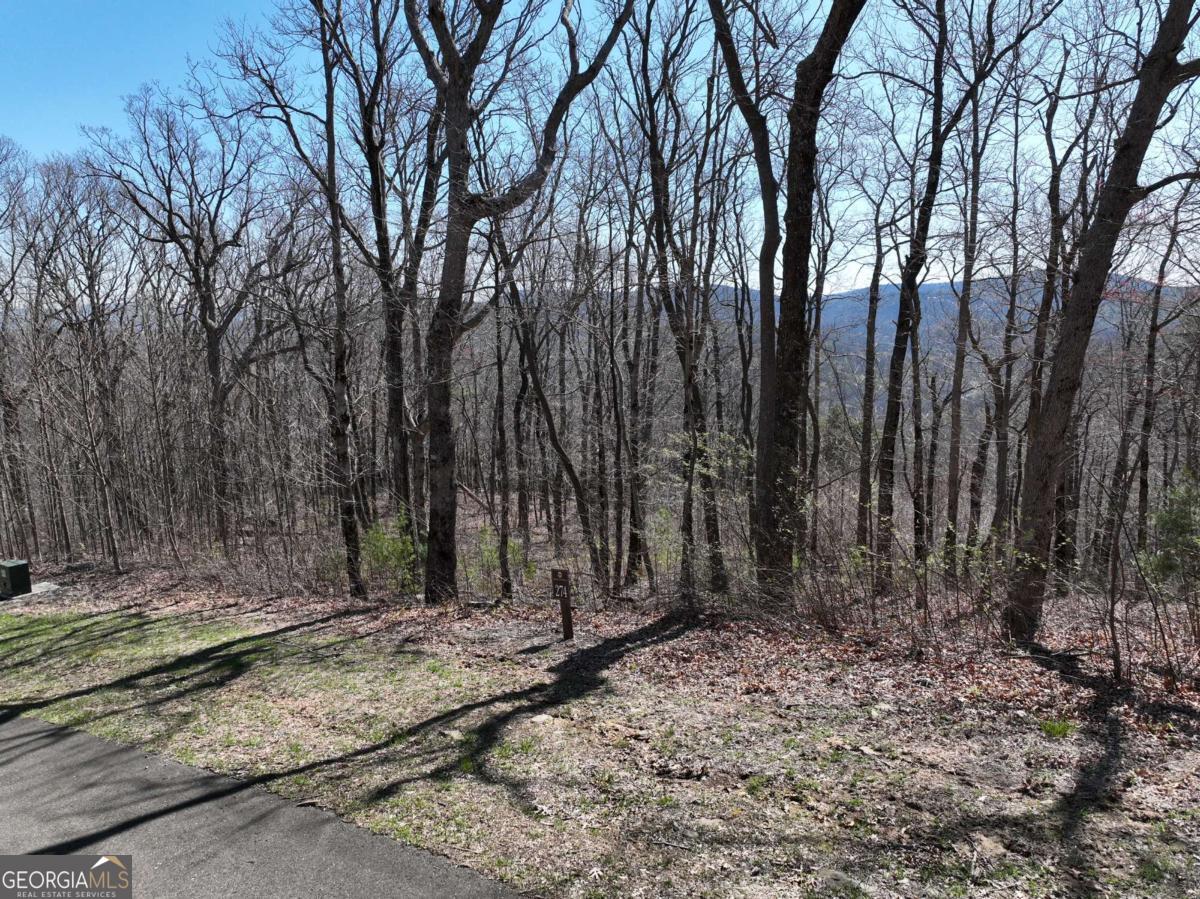 274 Andes Ridge Ellijay GA 30536