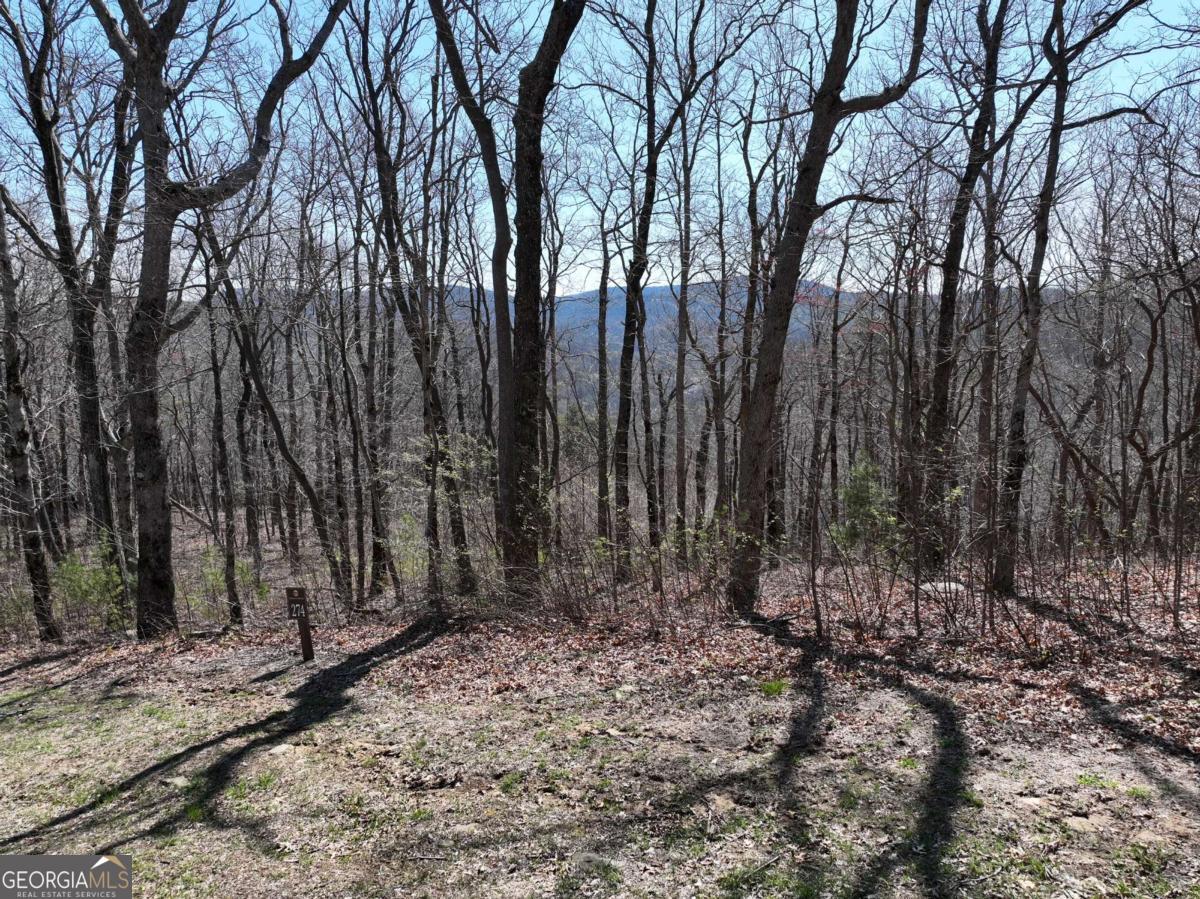 274 Andes Ridge Ellijay GA 30536
