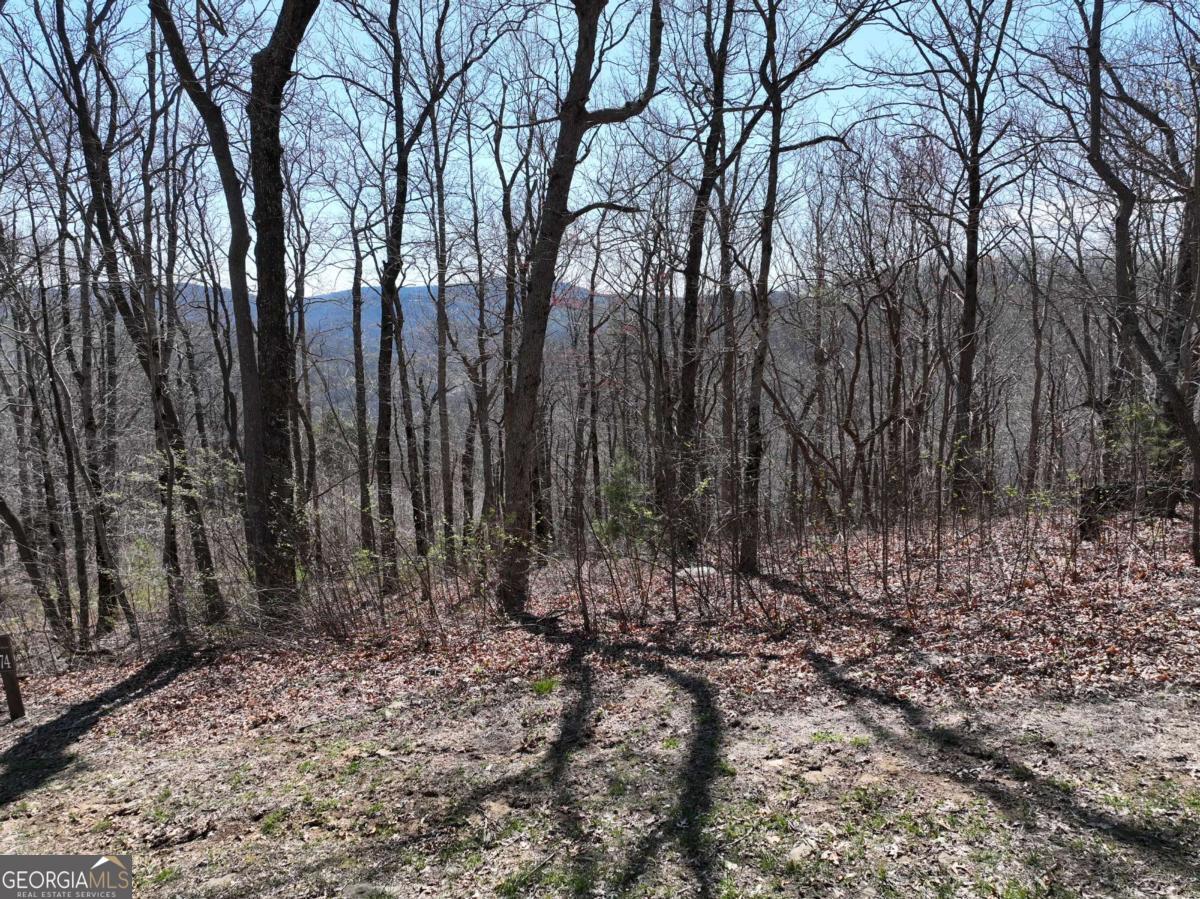 274 Andes Ridge Ellijay GA 30536