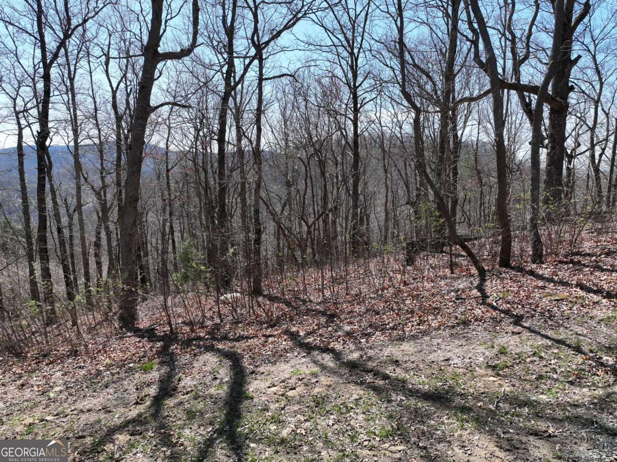 274 Andes Ridge Ellijay GA 30536