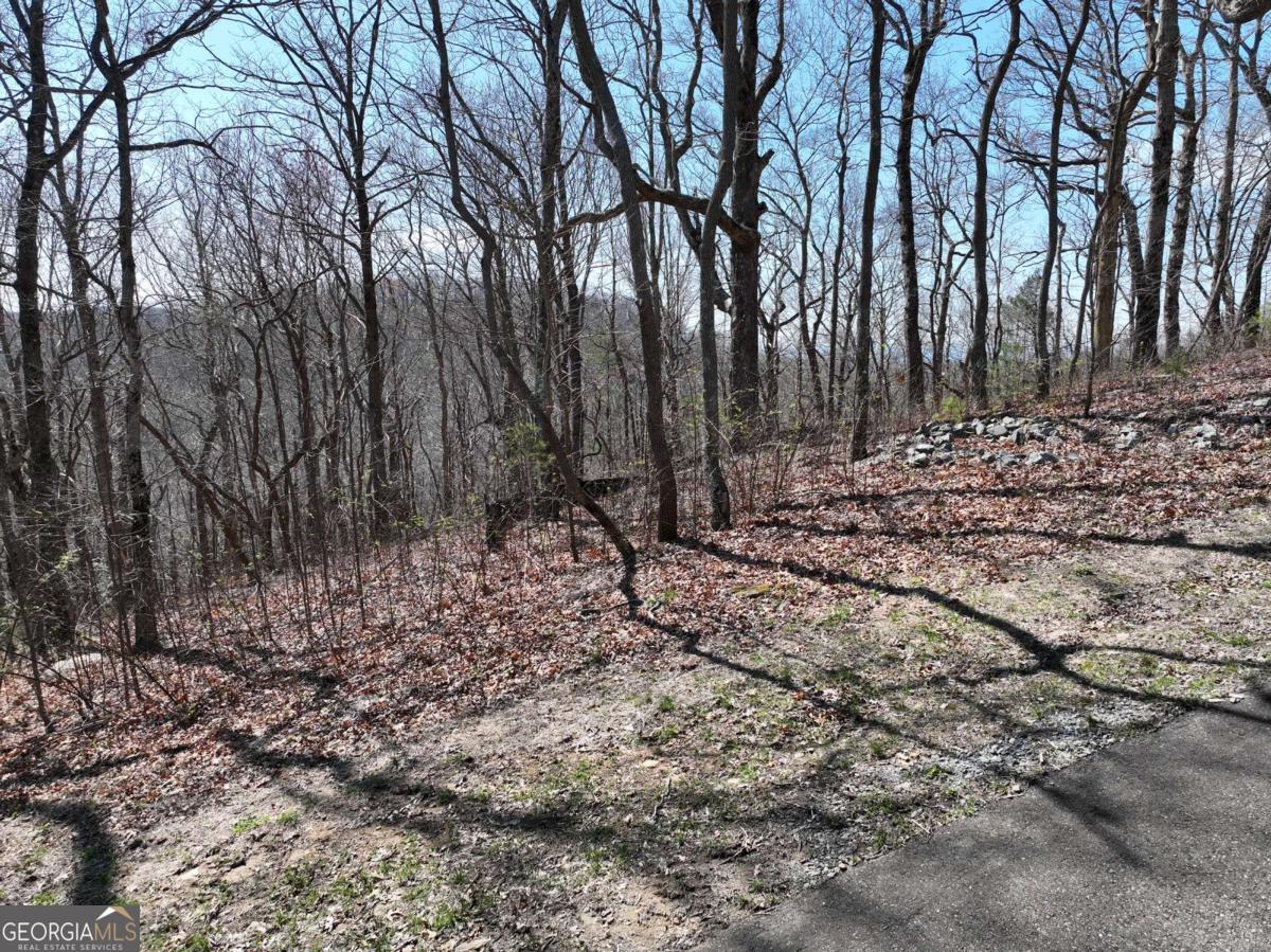 274 Andes Ridge Ellijay GA 30536