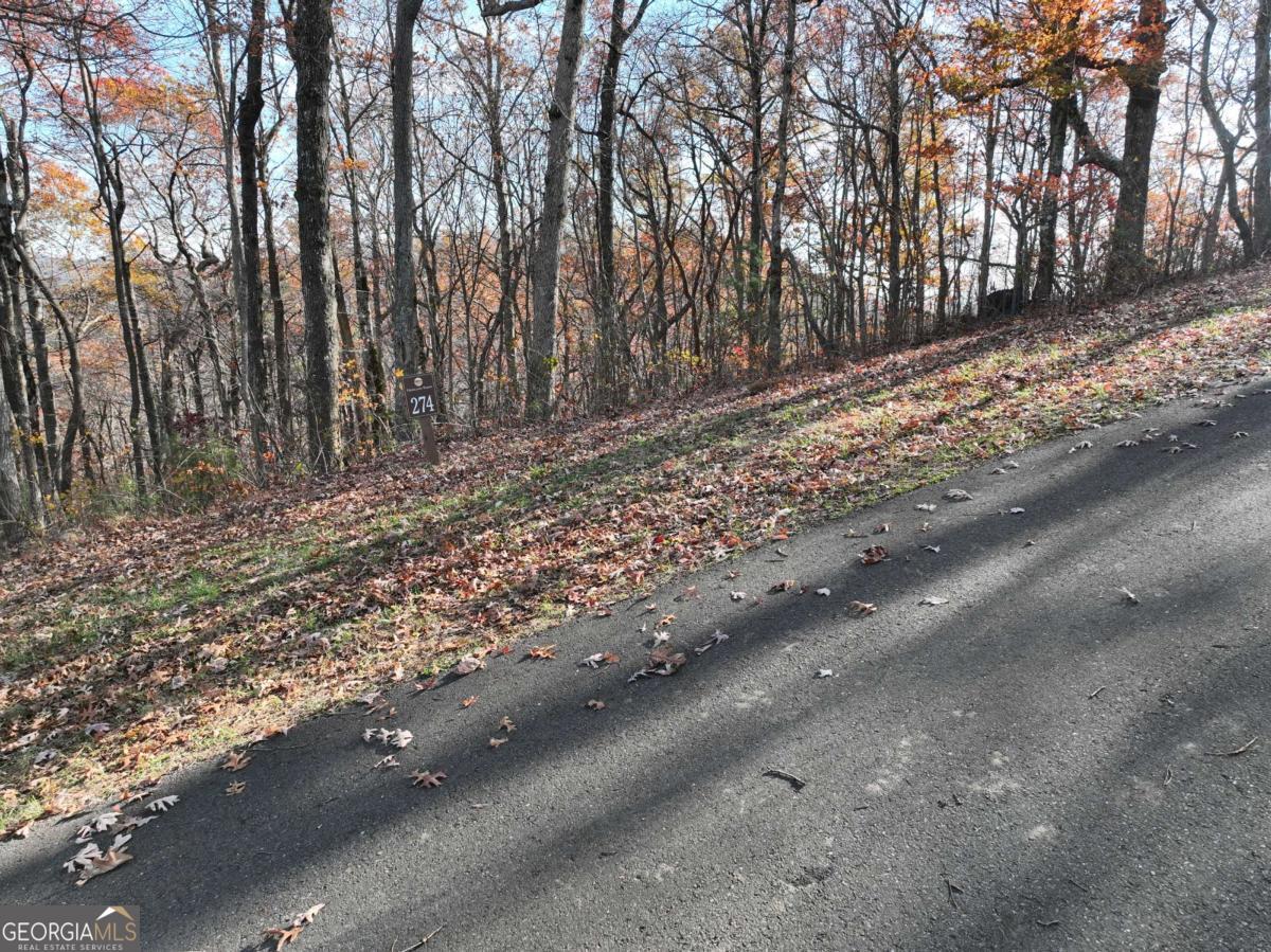 274 Andes Ridge Ellijay GA 30536