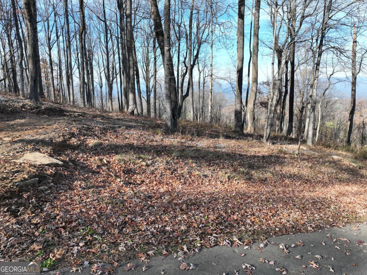 274 Andes Ridge Ellijay GA 30536