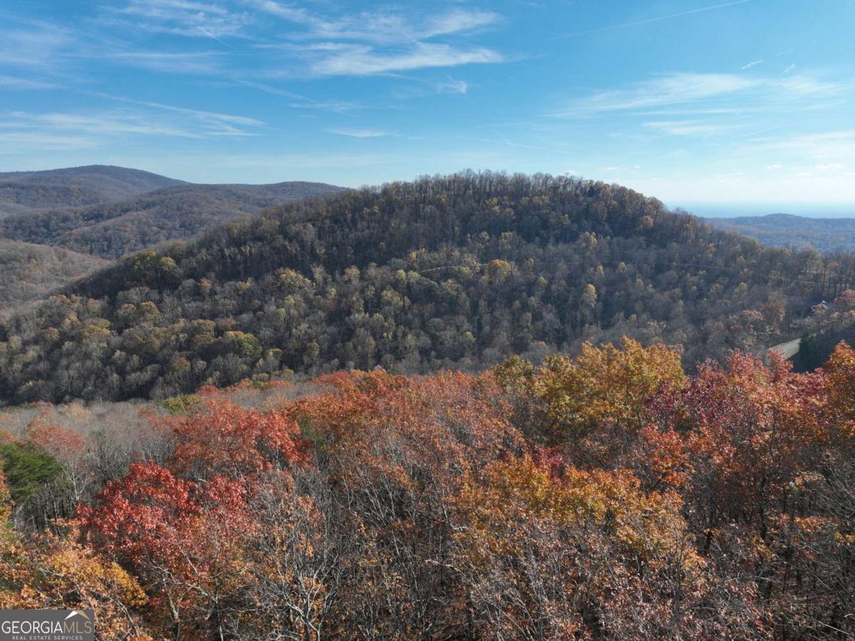 274 Andes Ridge Ellijay GA 30536