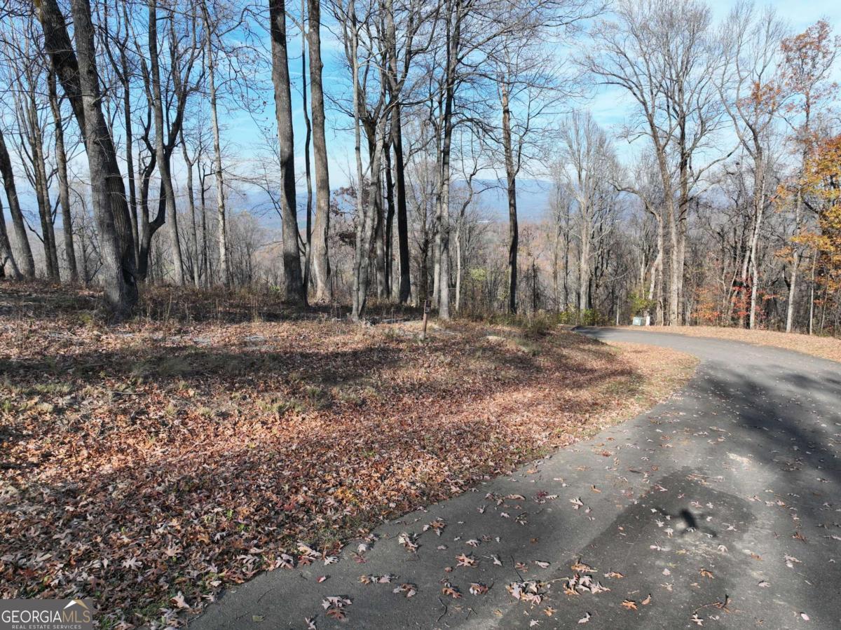 274 Andes Ridge Ellijay GA 30536