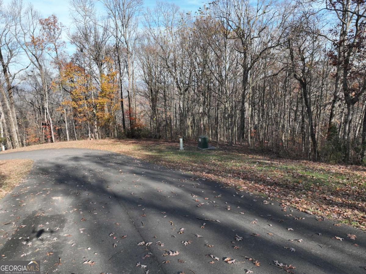 274 Andes Ridge Ellijay GA 30536