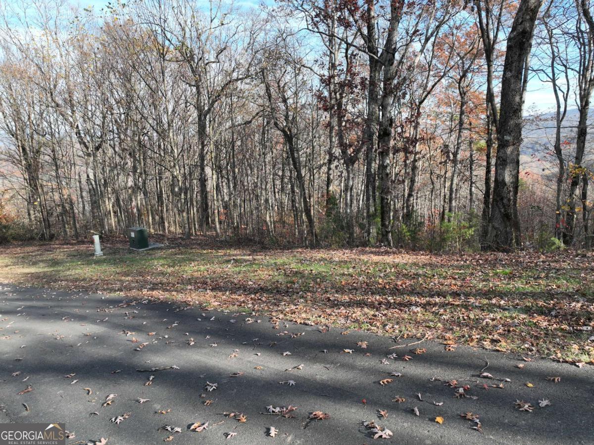 274 Andes Ridge Ellijay GA 30536