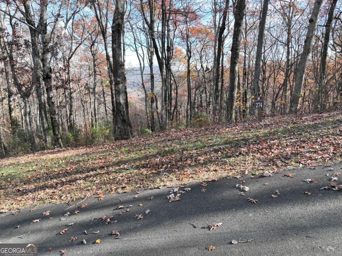 274 Andes Ridge Ellijay GA 30536