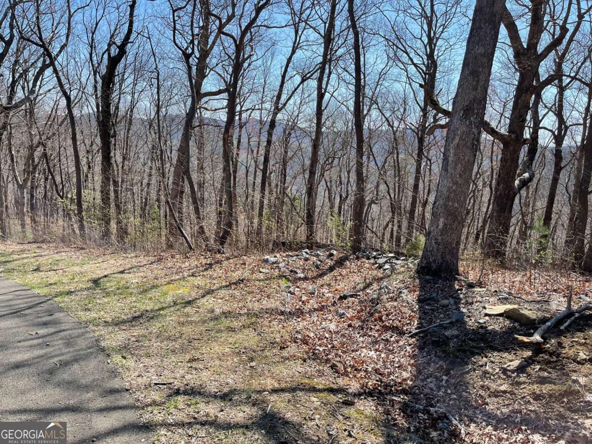 274 Andes Ridge Ellijay GA 30536