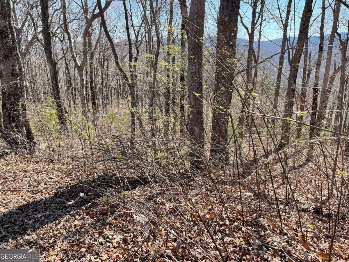274 Andes Ridge Ellijay GA 30536
