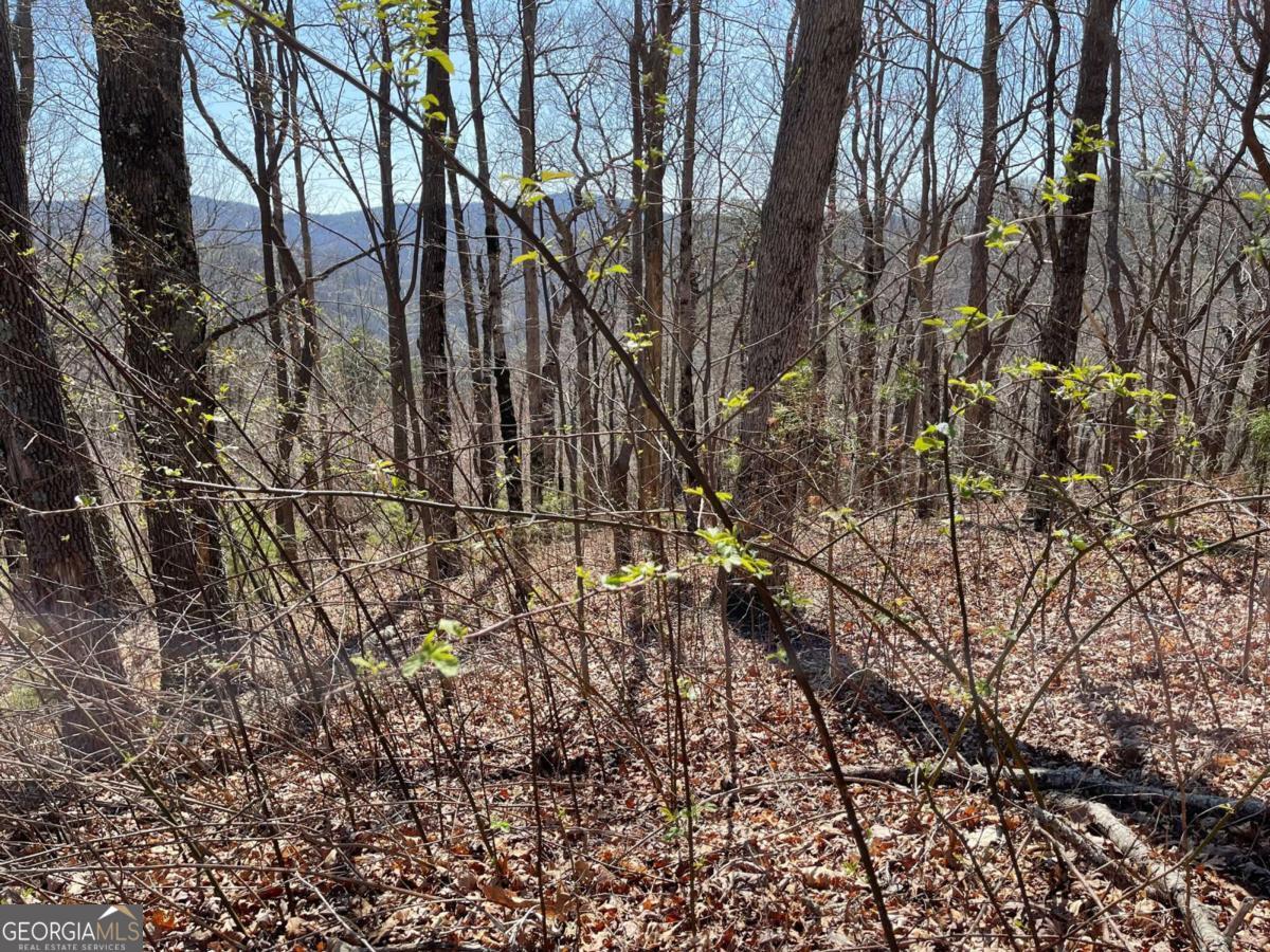 274 Andes Ridge Ellijay GA 30536