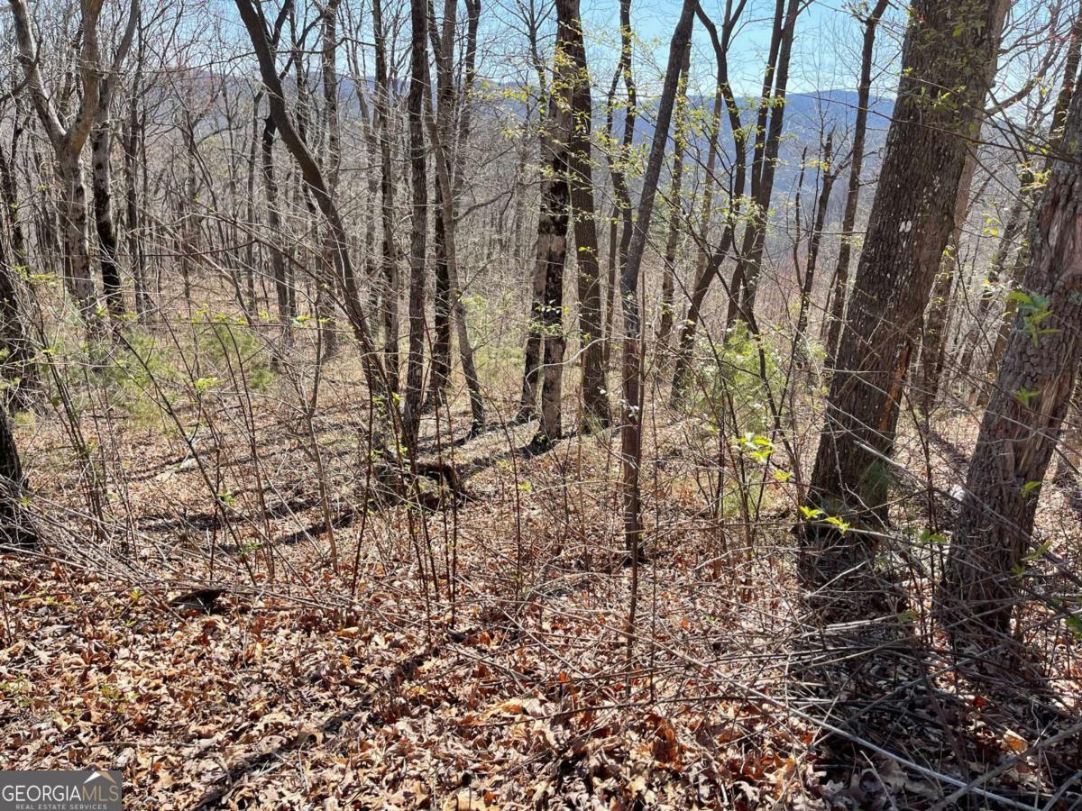 274 Andes Ridge Ellijay GA 30536
