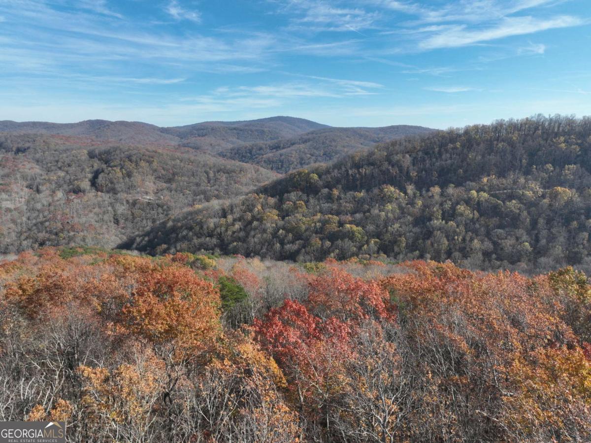 274 Andes Ridge Ellijay GA 30536