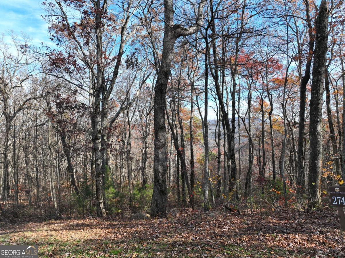 274 Andes Ridge Ellijay GA 30536