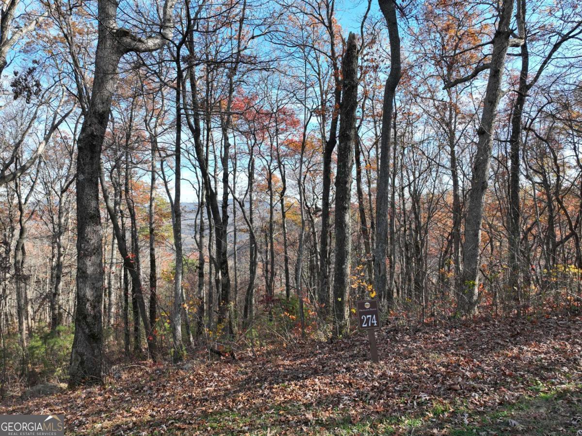 274 Andes Ridge Ellijay GA 30536
