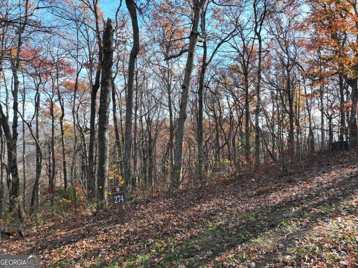 274 Andes Ridge Ellijay GA 30536