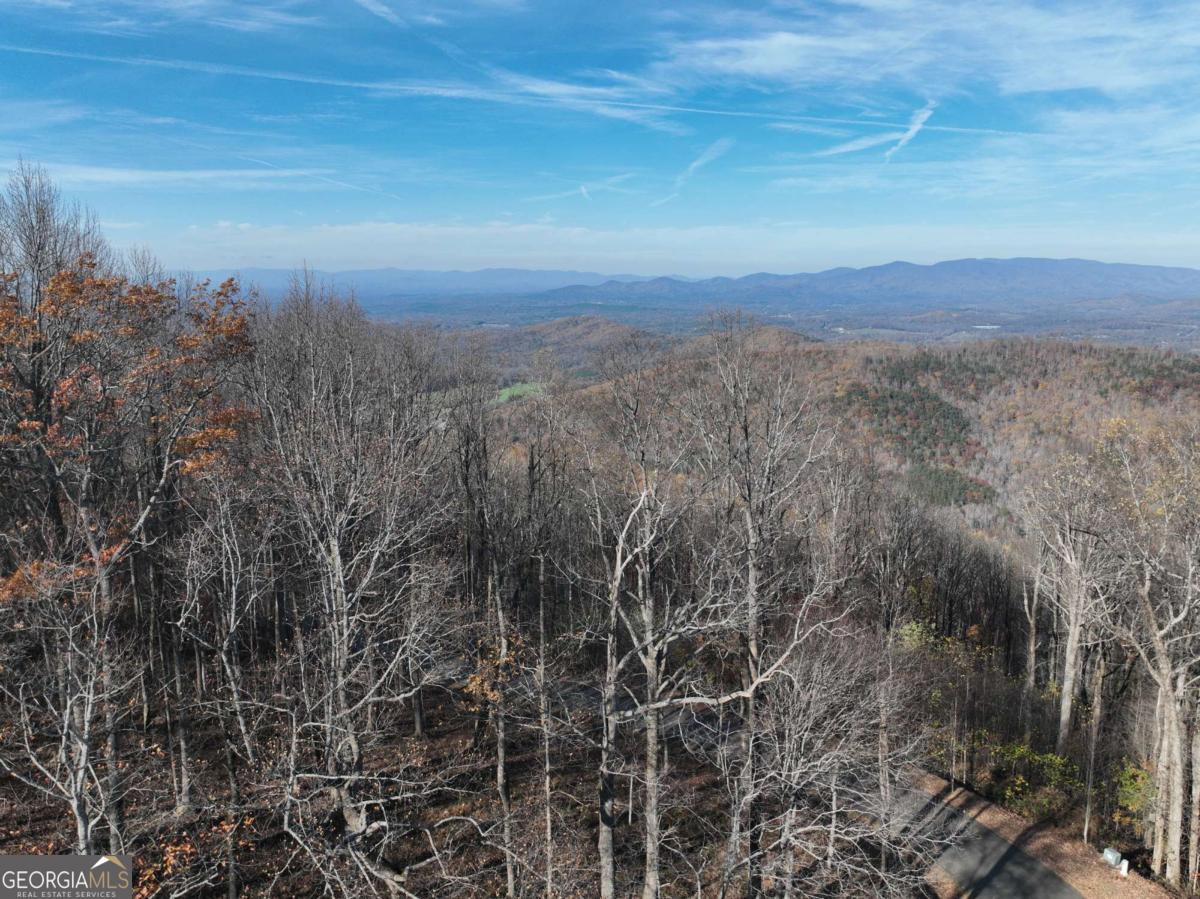 274 Andes Ridge Ellijay GA 30536