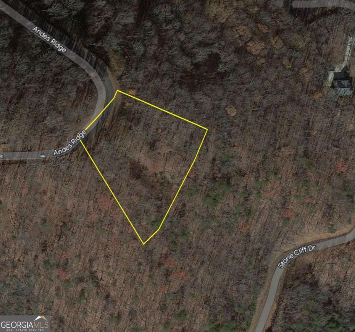 274 Andes Ridge Ellijay GA 30536