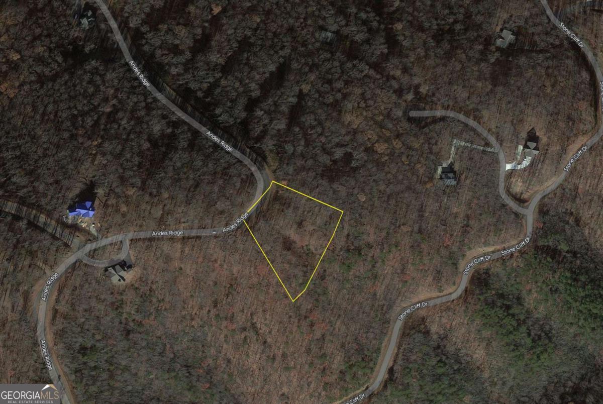 274 Andes Ridge Ellijay GA 30536