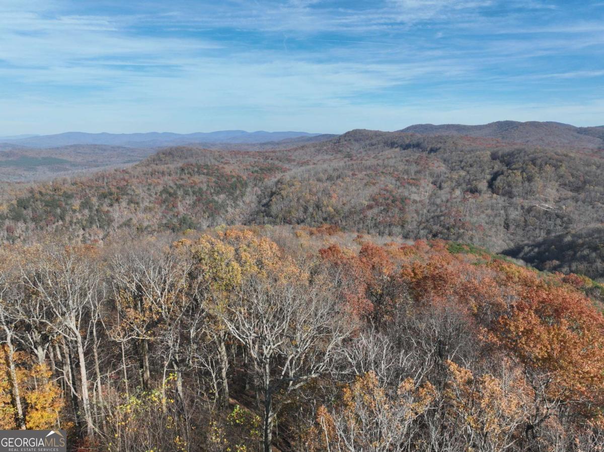 274 Andes Ridge Ellijay GA 30536