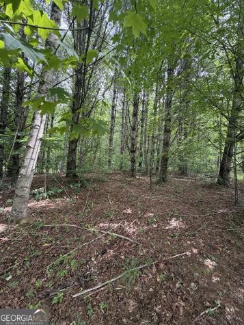 0 Baker Creek Road Suches GA 30572