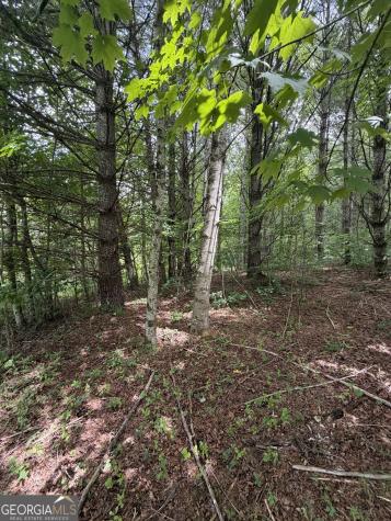 0 Baker Creek Road Suches GA 30572