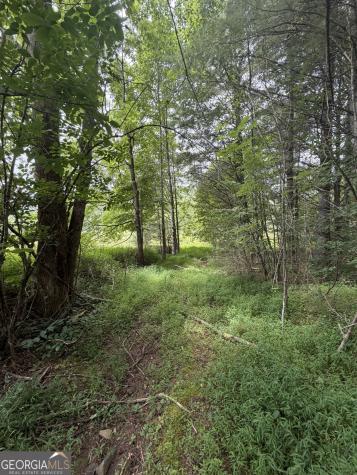 0 Baker Creek Road Suches GA 30572