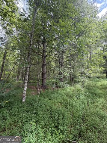 0 Baker Creek Road Suches GA 30572