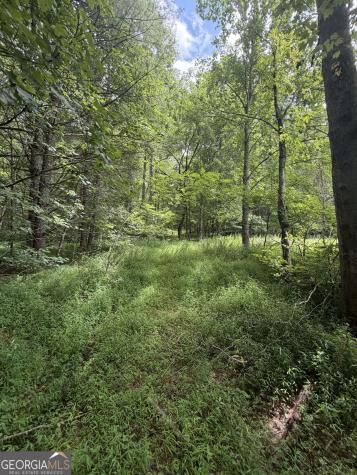 0 Baker Creek Road Suches GA 30572