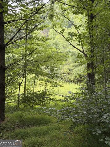 0 Baker Creek Road Suches GA 30572