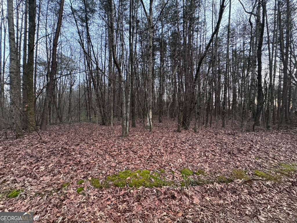 202 Emma Terrace Dawsonville GA 30534