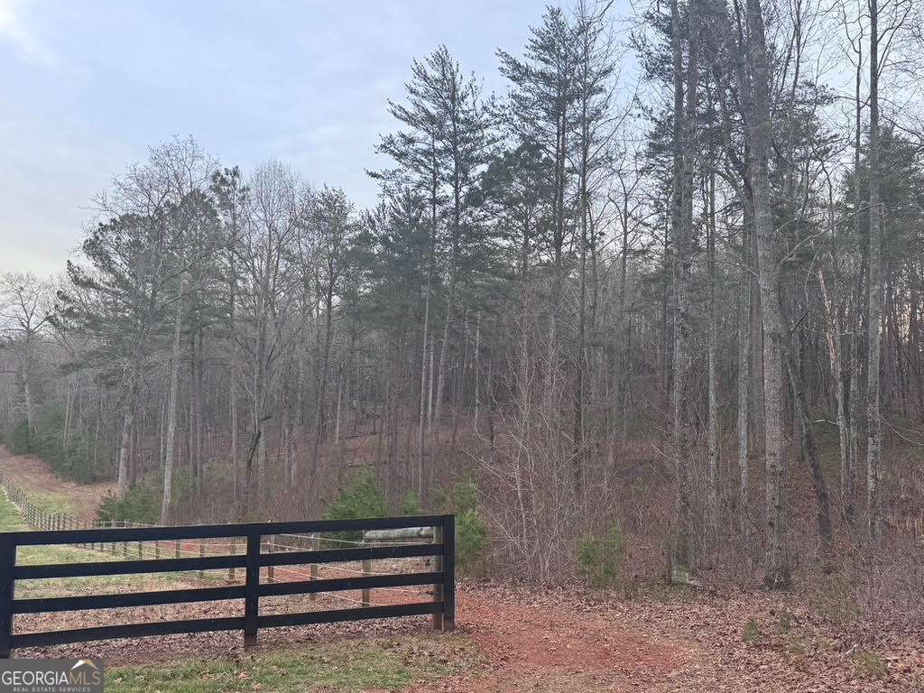 202 Emma Terrace Dawsonville GA 30534