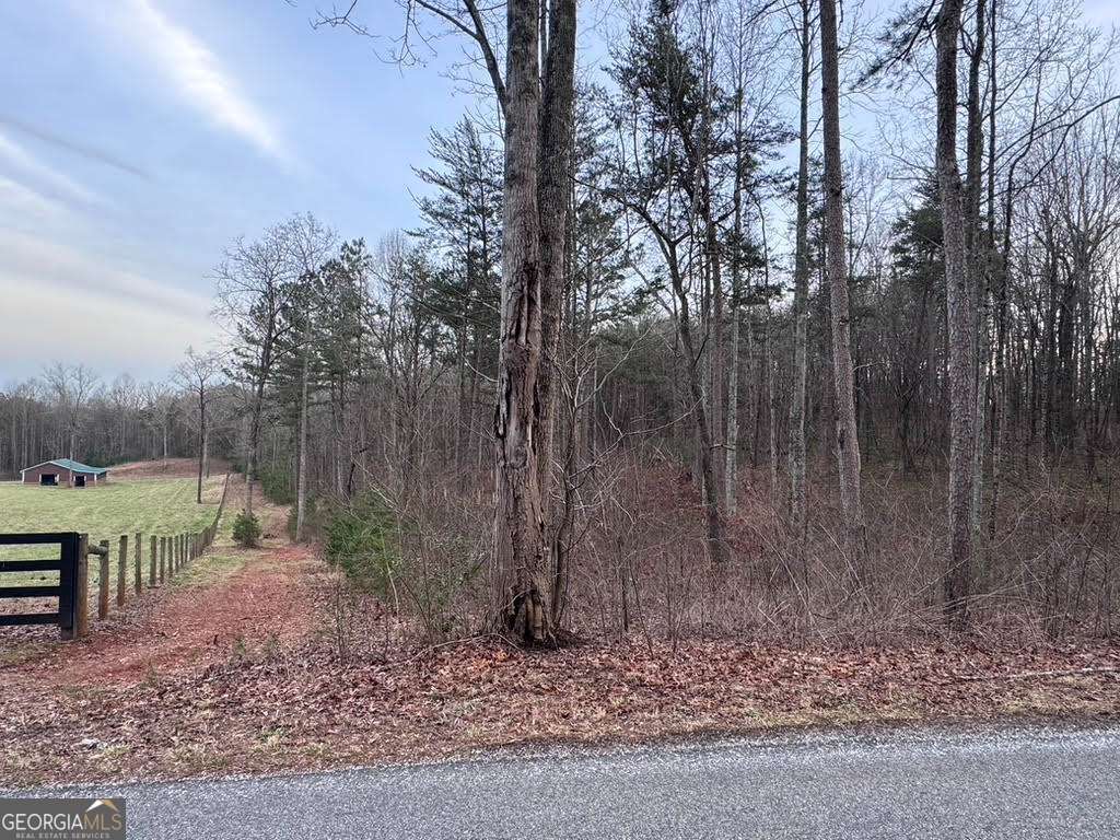 202 Emma Terrace Dawsonville GA 30534