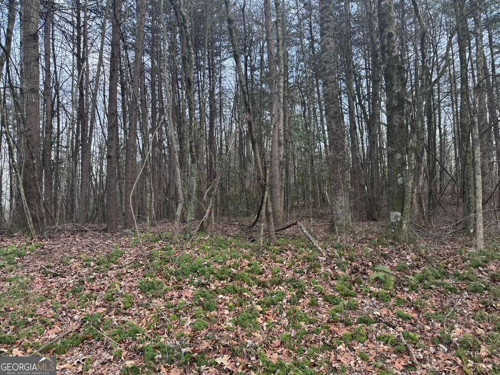 202 Emma Terrace Dawsonville GA 30534
