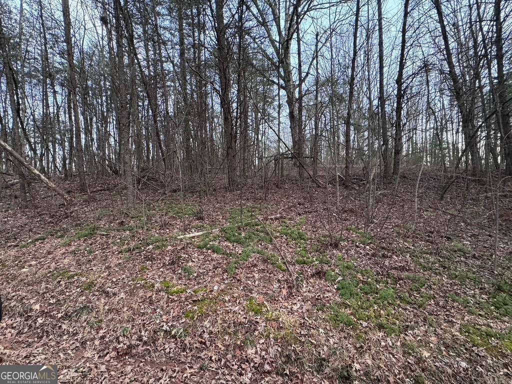 202 Emma Terrace Dawsonville GA 30534