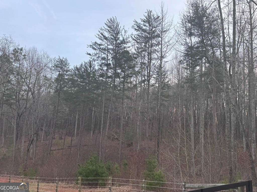 202 Emma Terrace Dawsonville GA 30534