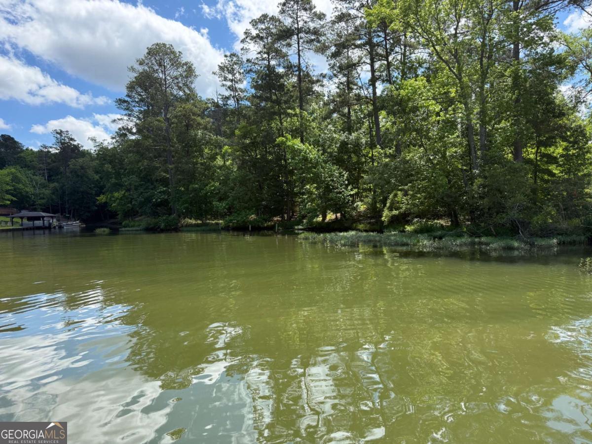 0 Cedar Ridge Drive Sparta GA 31087