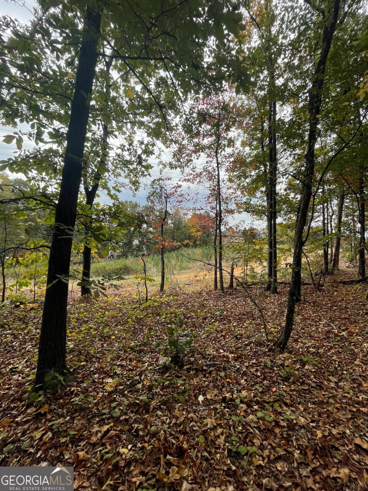 41 Foxfire Lane Cartersville GA 30120