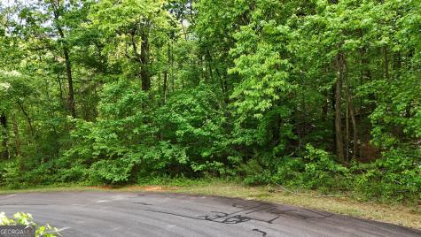 0 Terry Court Clarkesville GA 30523