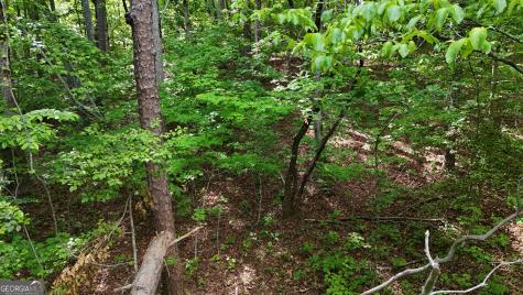 0 Terry Court Clarkesville GA 30523