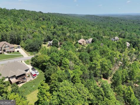 1016 Sterling Lakes Circle Helena AL 35022
