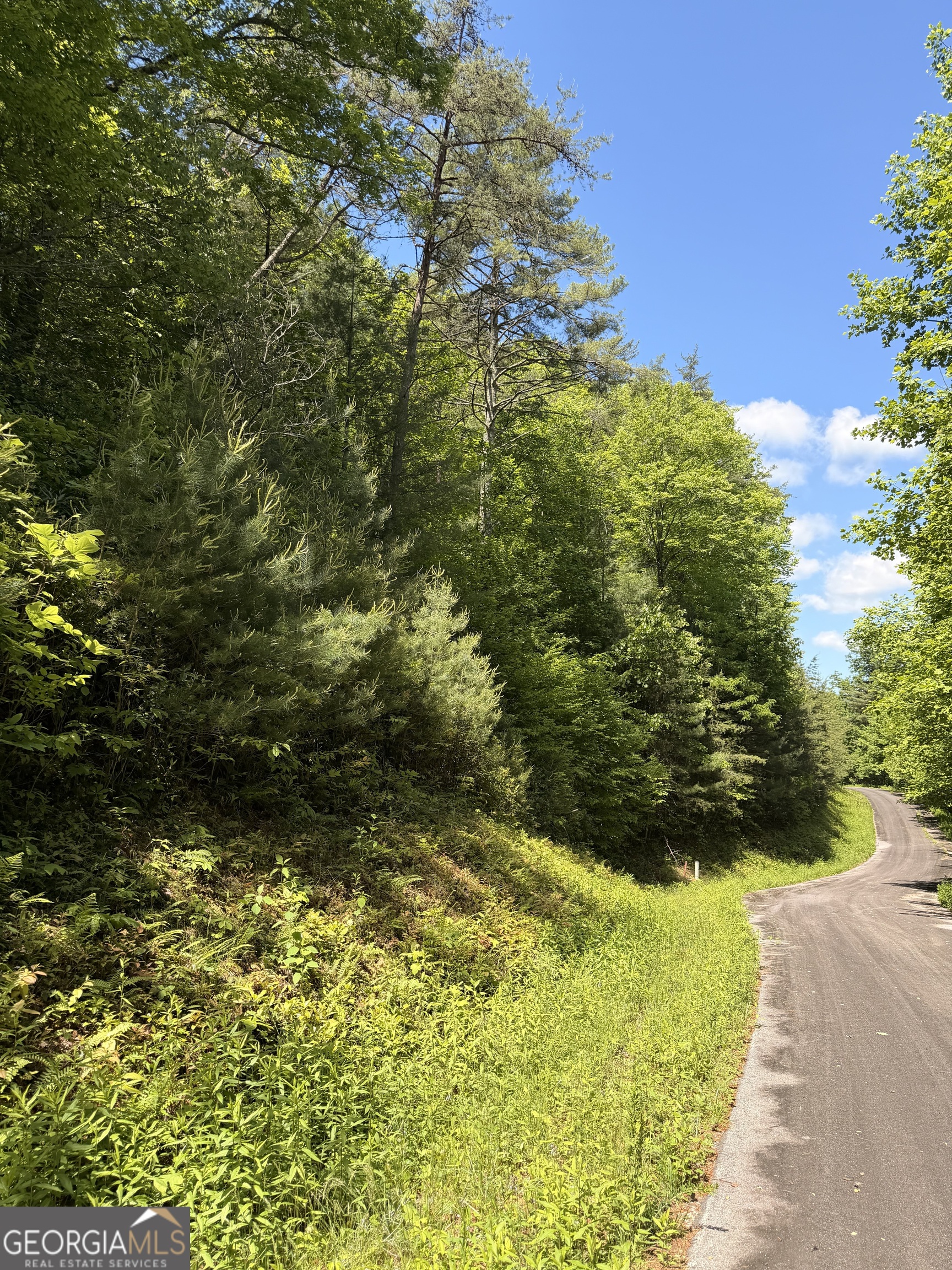 B Shake Hollow Rabun Gap GA 30568
