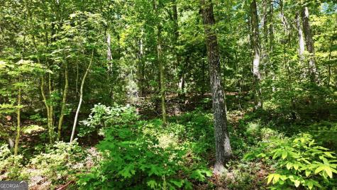 201 Spookhaven Lane Clarkesville GA 30523