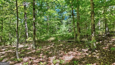 201 Spookhaven Lane Clarkesville GA 30523