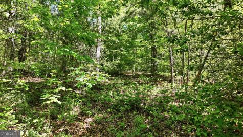 201 Spookhaven Lane Clarkesville GA 30523