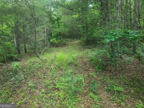 201 Spookhaven Lane Clarkesville GA 30523