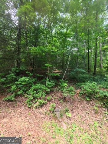 201 Spookhaven Lane Clarkesville GA 30523