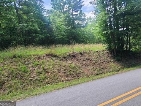 201 Spookhaven Lane Clarkesville GA 30523